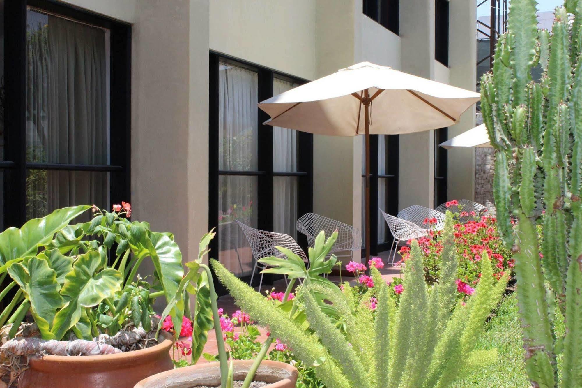 טאקנה Holiday Suites מראה חיצוני תמונה